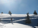 /Ski/2008/Images/1500/mini-Photo FRe 002Icon.jpg